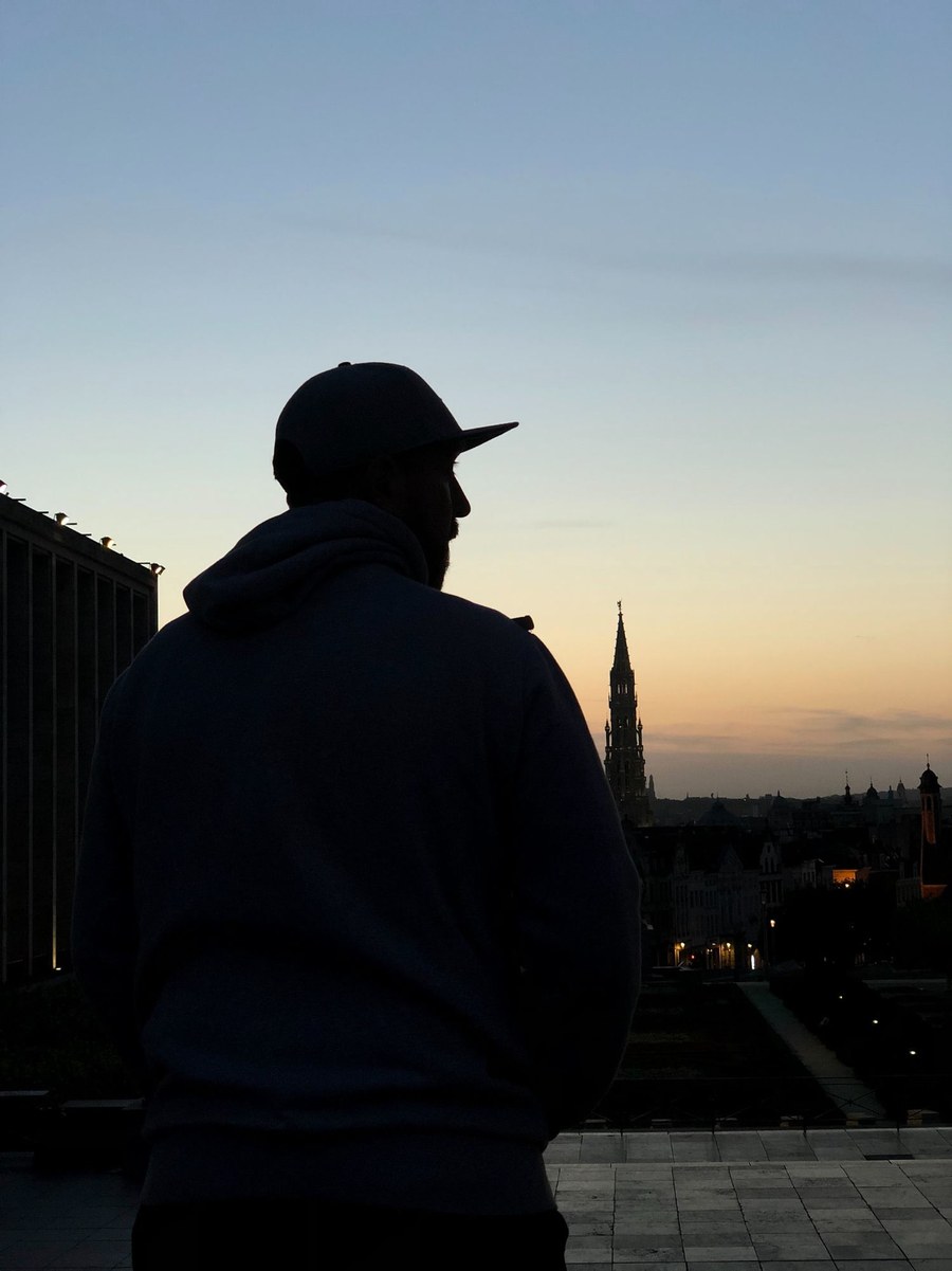 Brussels skyline
